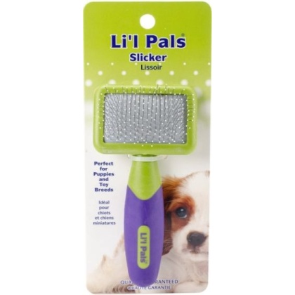 Li\'l Pals Tiny Slicker Brush