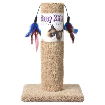 Classy Kitty Cat Scratching Post with Feathers