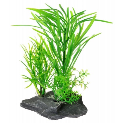 Reptology Quartz Rock Reptile Plant