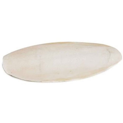 Prevue Cuttlebone Birdie Basics Large 6\