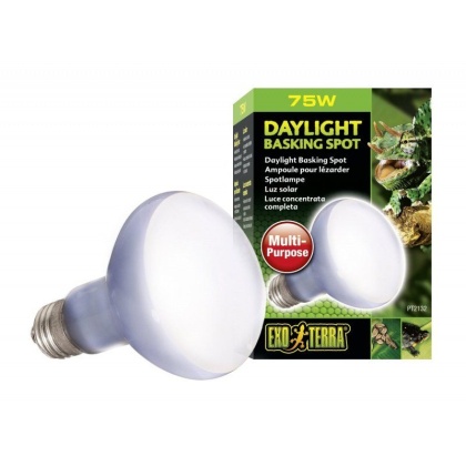 Exo-Terra Sun Glo Neodymium Basking Spot Lamps