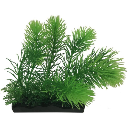 Penn Plax Water Sprite Bunch Plant Large
